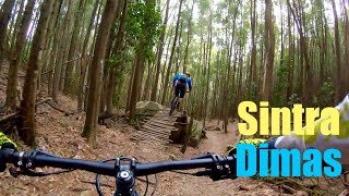 Sintra - Dimas