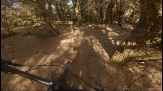 RAT BOY RAW - Mountain biking trail on Madeira...