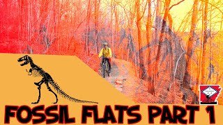 Fossil Flats - Part 1 '2009'
