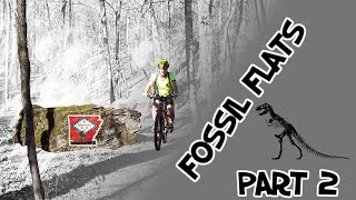 Fossil Flats - Part 2 '2009'