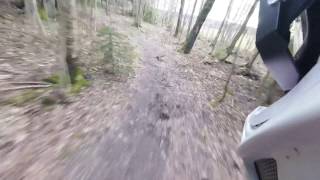 Hovskogen 17 03 2017 part1