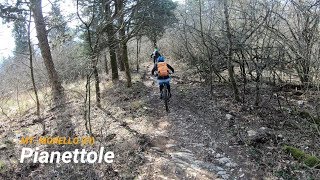 Pianettole, Mt. Morello (FI), 08-02-2020