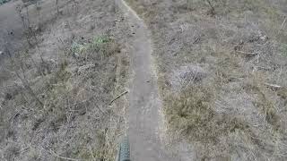 Centipede Trail MTB