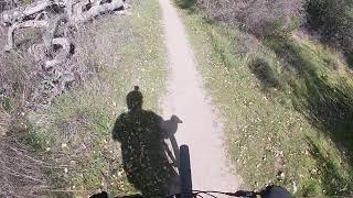 Glenwood Preserve Loop