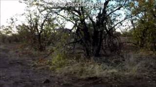 Olifants Camp - Afternoon Mountain Bike Trail