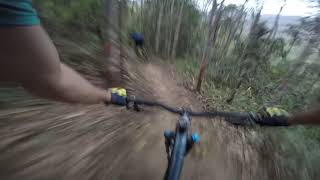 Sanandu Bike Park: trilha do costão + super flow