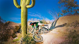 He Wasn't Planning on Crashing into a Cactus!
