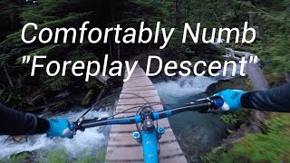 Comfortably Numb Descent-Whistler Valley...