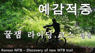 예감적중! 꿀잼 MTB 코스 발굴하다 /...
