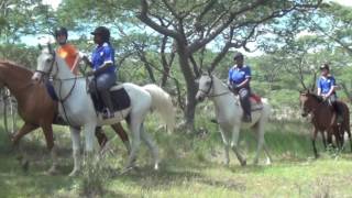 2016 - Peterhouse - Gosho Park Fence Appeal...