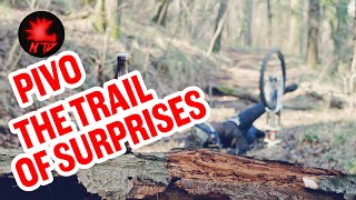 Pivo Downhill Mountain bike Trail Trieste -...