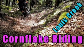 Cornflake riding at Louis Creek Track, New Zealand
