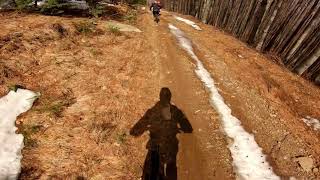 MiniAvalanche Semenic 2019