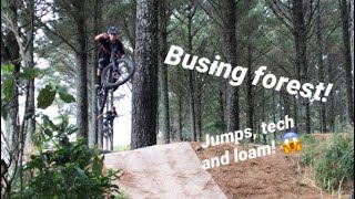 Busing forest with the boys!