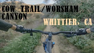 Cow Trail | Whittier, CA MTB
