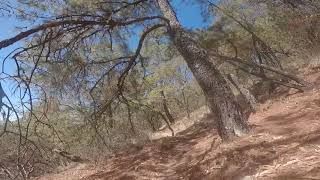Riding in Oaxaca, Mexico - La Veredita