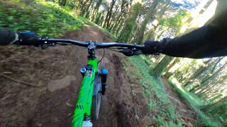 Home / Fofinho - Sintra BTT