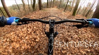 Mtb - Šenturška