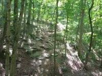 Deana's Chubb Run - stuck at 99%