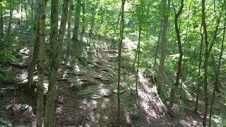 Deana's Chubb Run - stuck at 99%