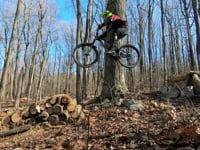 There's a Jump or Two in Them There Woods