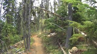 Nelson BC Fairly High Trail Mountain Bike Ride