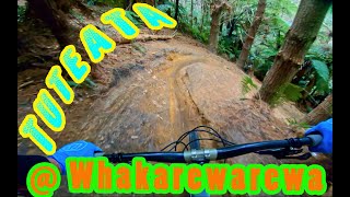 Tuteata @ Whakarewarewa/Redwoods
