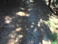 Bike trails Valašsko - trail Tanečnice ve...