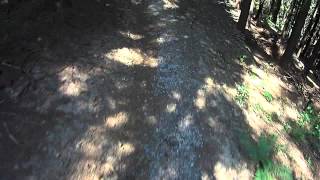 Bike trails Valašsko - trail Tanečnice ve...