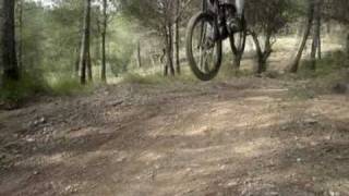 Dh-Pastor 3