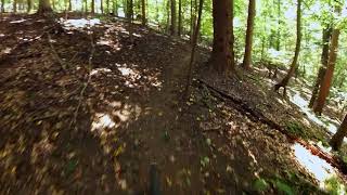 Smedley Park - Ridge Trail