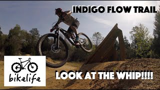 All Indigo Flow Trail at Santos Vortex - LOOK...