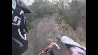 La Balena DH