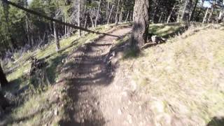Leverich Canyon - Bozeman, MT - Summer 2017 -...