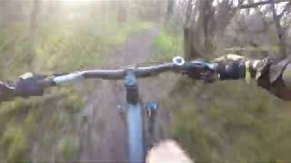 China Pig (Blue MTB Trail)