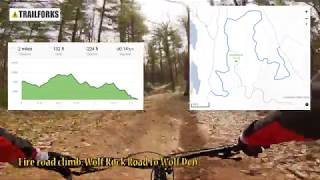 MTB Leominster State Forest - Wolf Den Trail