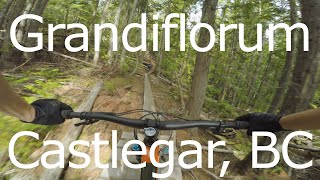 Grandiflorum Highlights - Castlegar, BC