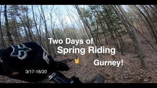 Gurney in Spring