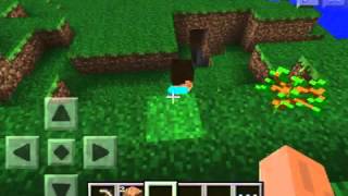 Multiplayer in Minecraft PE