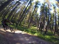 Moose Mountain: Downhill biking 7-27 Trail...