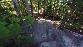 Whistler Bike Park - Joyride (upper) - Summer...