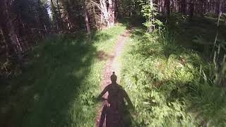 Aftonro - downhill