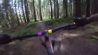 Bikepark Wales - Root Manouvers 2019 (4K)