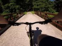 Fair Hill MTB Yellow Trail