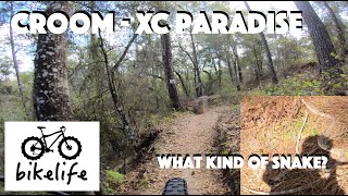 croom mtb trails