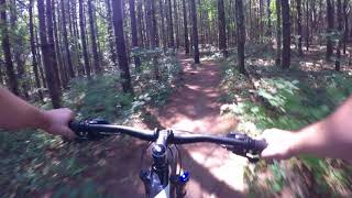 Radial Single Track - Smith Property Hiking Loop