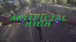 ARTIFICIAL HIGH - BEACON HILL - SPOKANE...