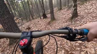 Catamount Trail - Downhill - Bear Brook State...