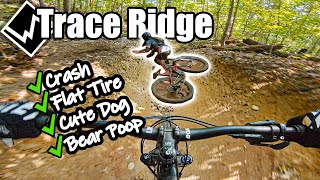 A Crazy Adventure on Trace Ridge Descent •...