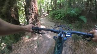 Nature OVERLOAD on Mountain Bike Trail in...